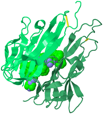 Image Biological Unit 8