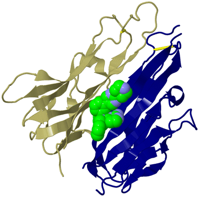 Image Biological Unit 9