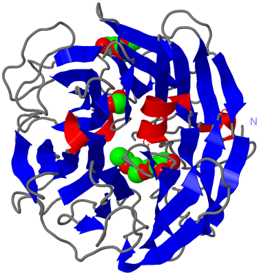 Image Asym./Biol. Unit