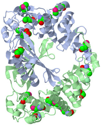 Image Asym./Biol. Unit