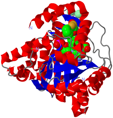 Image Asym./Biol. Unit