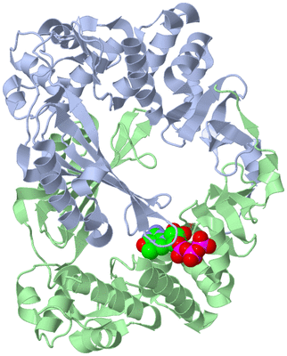 Image Asym./Biol. Unit