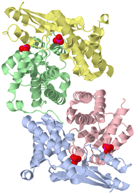 Image Biological Unit 2