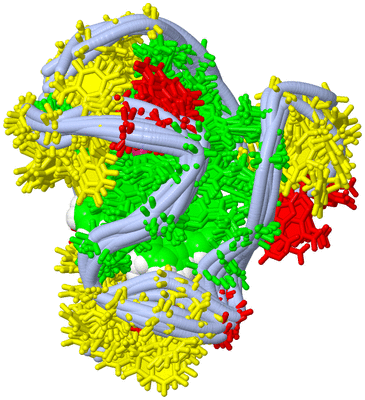 Image NMR Structure - all models