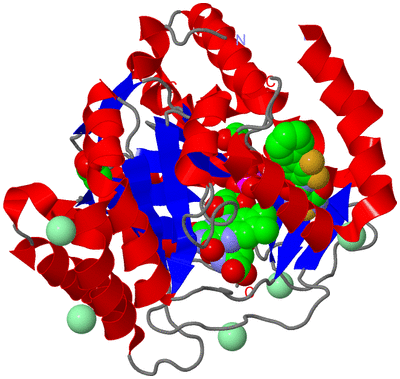 Image Asym./Biol. Unit