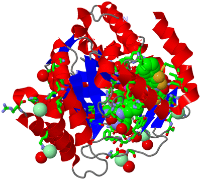 Image Asym./Biol. Unit - sites