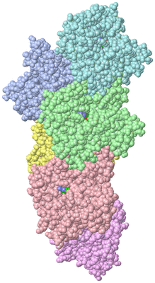 Image Asym./Biol. Unit