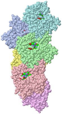 Image Asym./Biol. Unit - sites