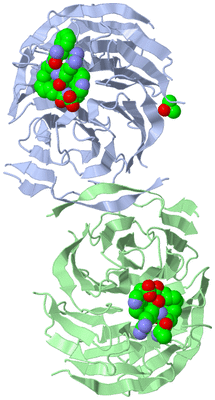 Image Asym./Biol. Unit