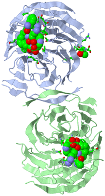 Image Asym./Biol. Unit - sites