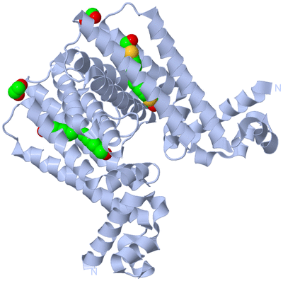 Image Biological Unit 1