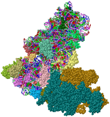 Image Asym./Biol. Unit