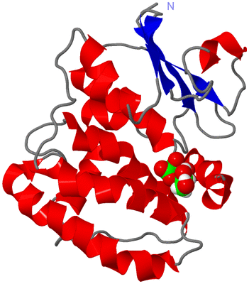 Image NMR Structure - model 1