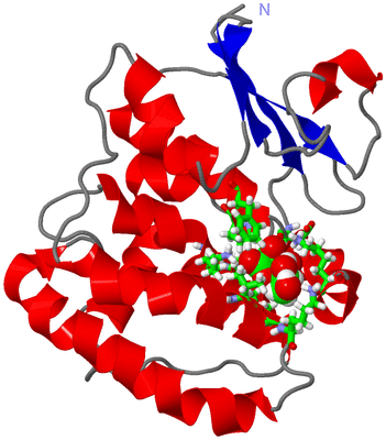 Image NMR Structure - model 1, sites