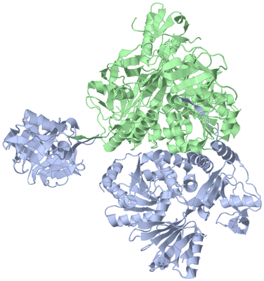 Image Asym./Biol. Unit