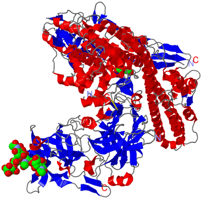 Image Asym./Biol. Unit