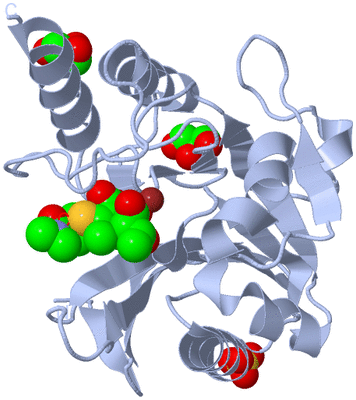 Image Biological Unit 1