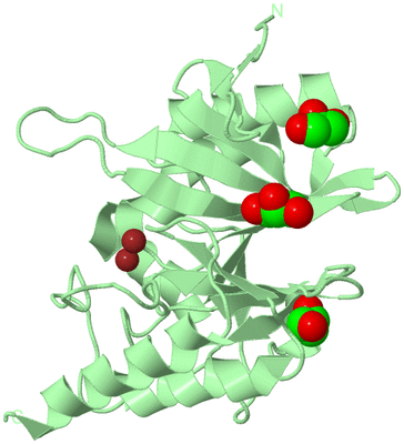 Image Biological Unit 2