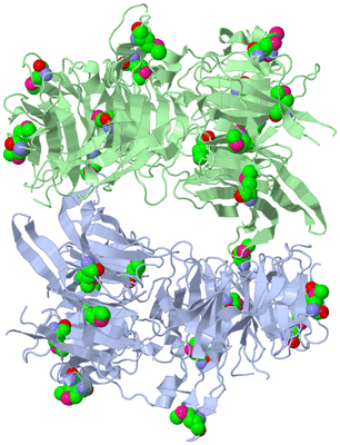 Image Asymmetric Unit
