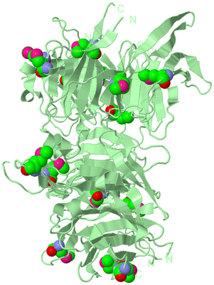 Image Biological Unit 2
