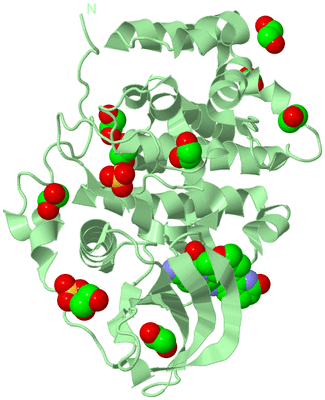 Image Biological Unit 2