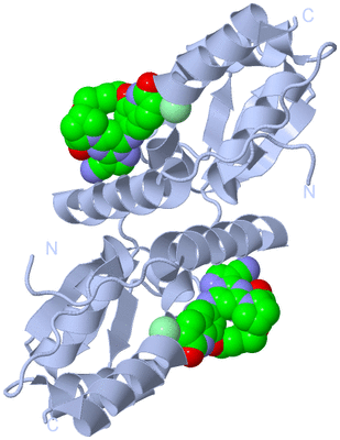 Image Biological Unit 1