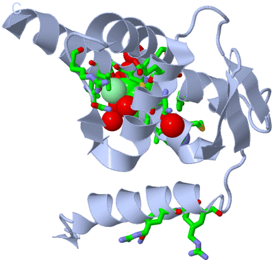 Image Biol. Unit 1 - sites