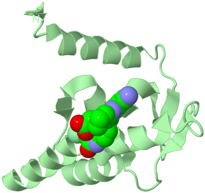 Image Biological Unit 2