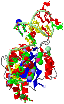 Image Asym./Biol. Unit - sites