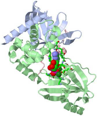 Image Biol. Unit 1 - sites