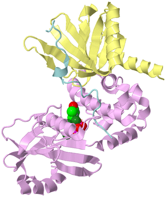 Image Biological Unit 2