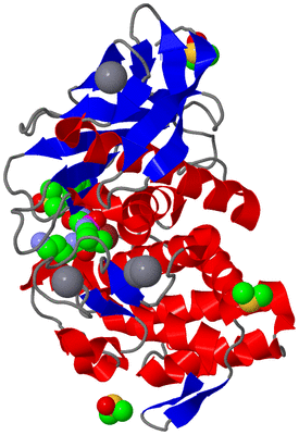 Image Asym./Biol. Unit