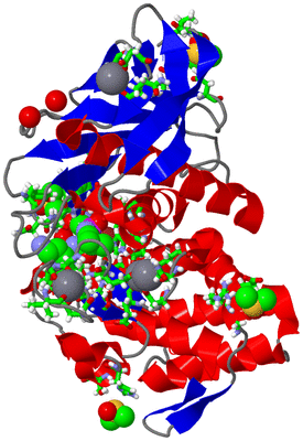 Image Asym./Biol. Unit - sites