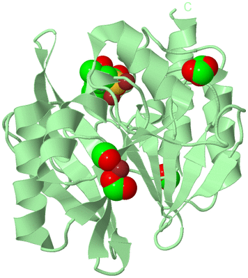 Image Biological Unit 2