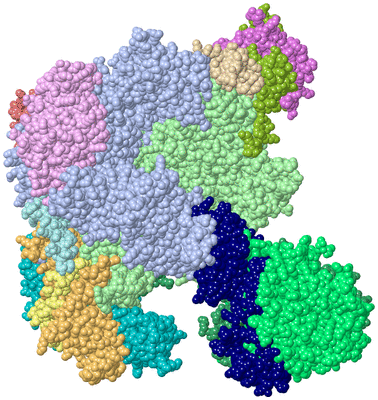 Image Asym./Biol. Unit