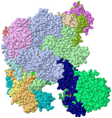 Image Asym./Biol. Unit - sites