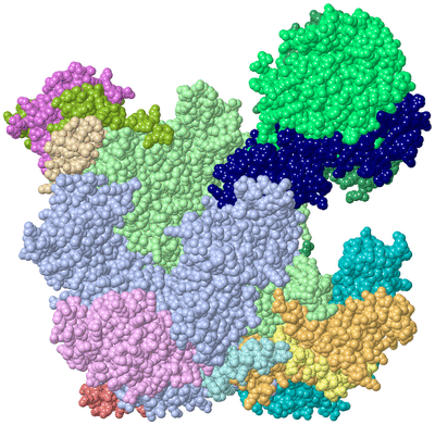 Image Asym./Biol. Unit