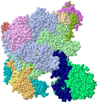 Image Asym./Biol. Unit - sites