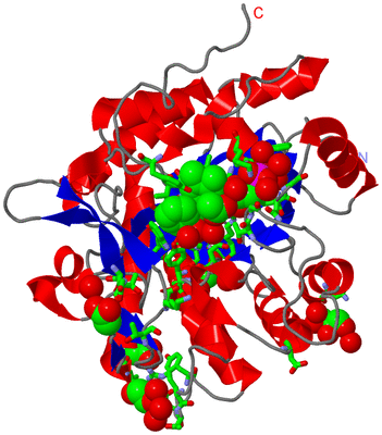 Image Asym./Biol. Unit - sites