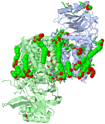 Image Asym. Unit - sites