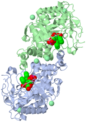 Image Asym./Biol. Unit