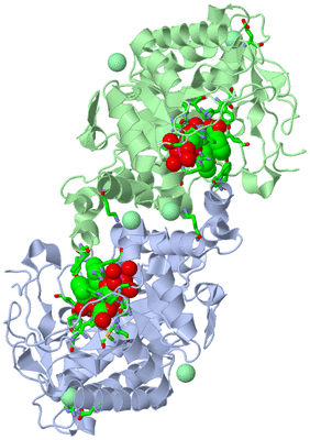 Image Asym./Biol. Unit - sites