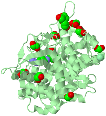 Image Biological Unit 2