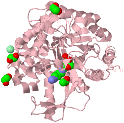 Image Biological Unit 3