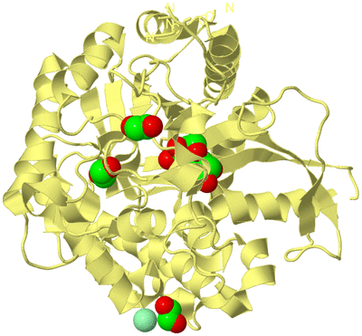 Image Biological Unit 4