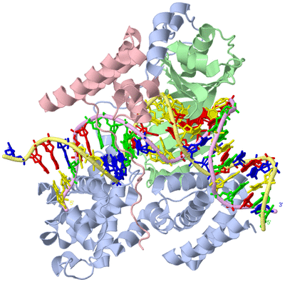 Image Biological Unit 1