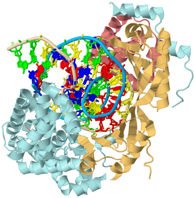 Image Biological Unit 2