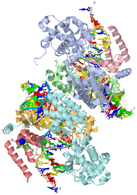 Image Asym. Unit - sites