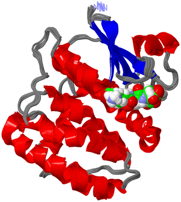 Image NMR Structure - all models