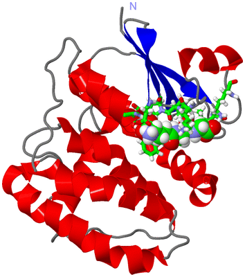 Image NMR Structure - model 1, sites